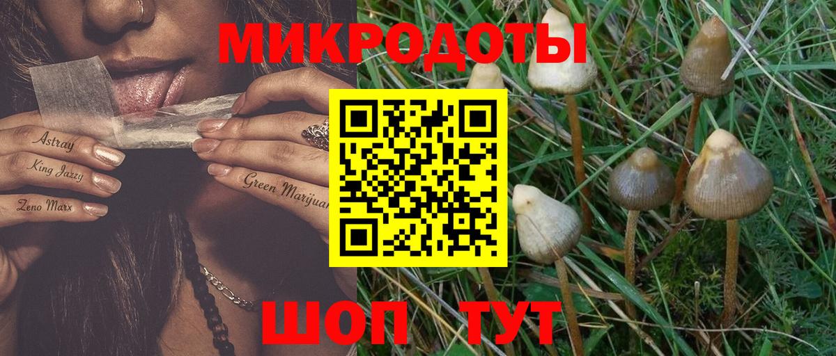 Галлюциногенные грибы Cubensis  Вход с VPN  Алушта 