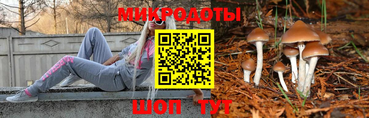 Псилоцибиновые грибы Cubensis Алушта